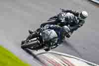 Middle Group Black Bikes